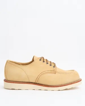 8079 Shop Moc Oxford Hawthorne