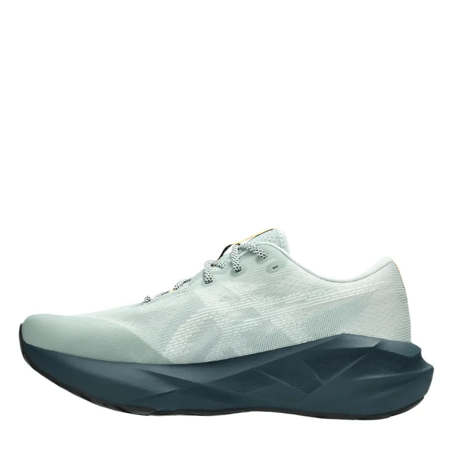 countryside running shoes running in a sinter terrace area shoes ASICS Men's NOVABLAST 5 TR Running Shoes in Nature Bathing/Lichen Rock AW25