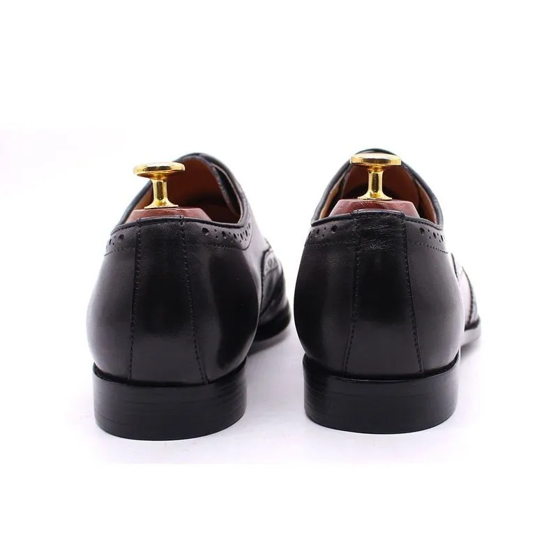 Classic Wingtip Oxford Shoes for Men - 4 Rich Colors