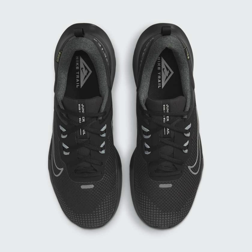 Nike Juniper Trail 2 Gore-Tex V2 Men's HM9734 001 amateur runners' shoes