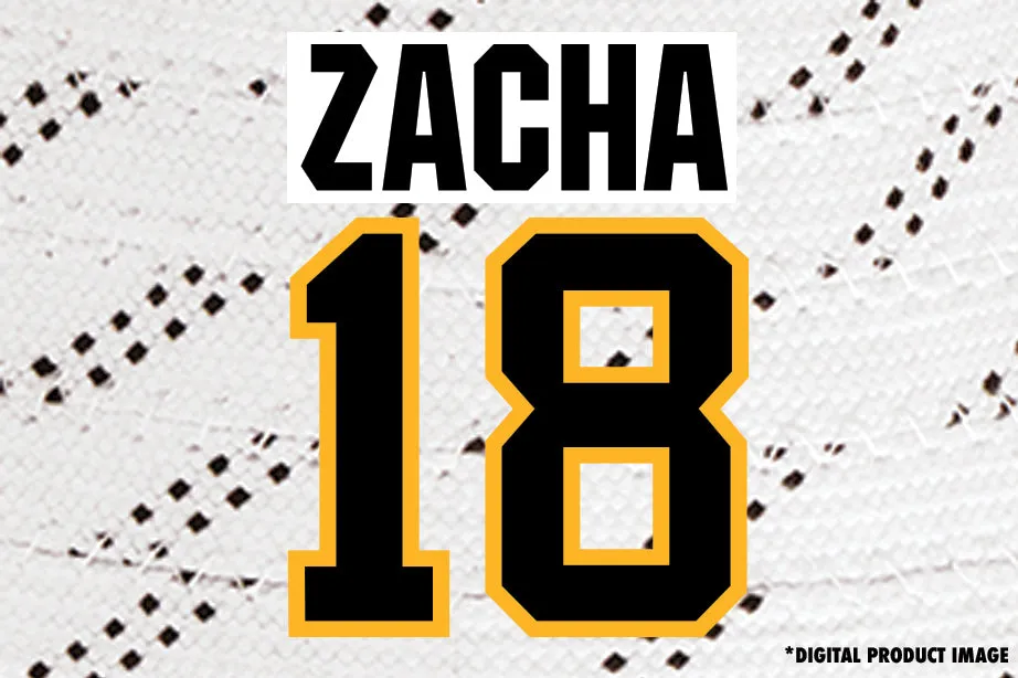 Pavel Zacha #18