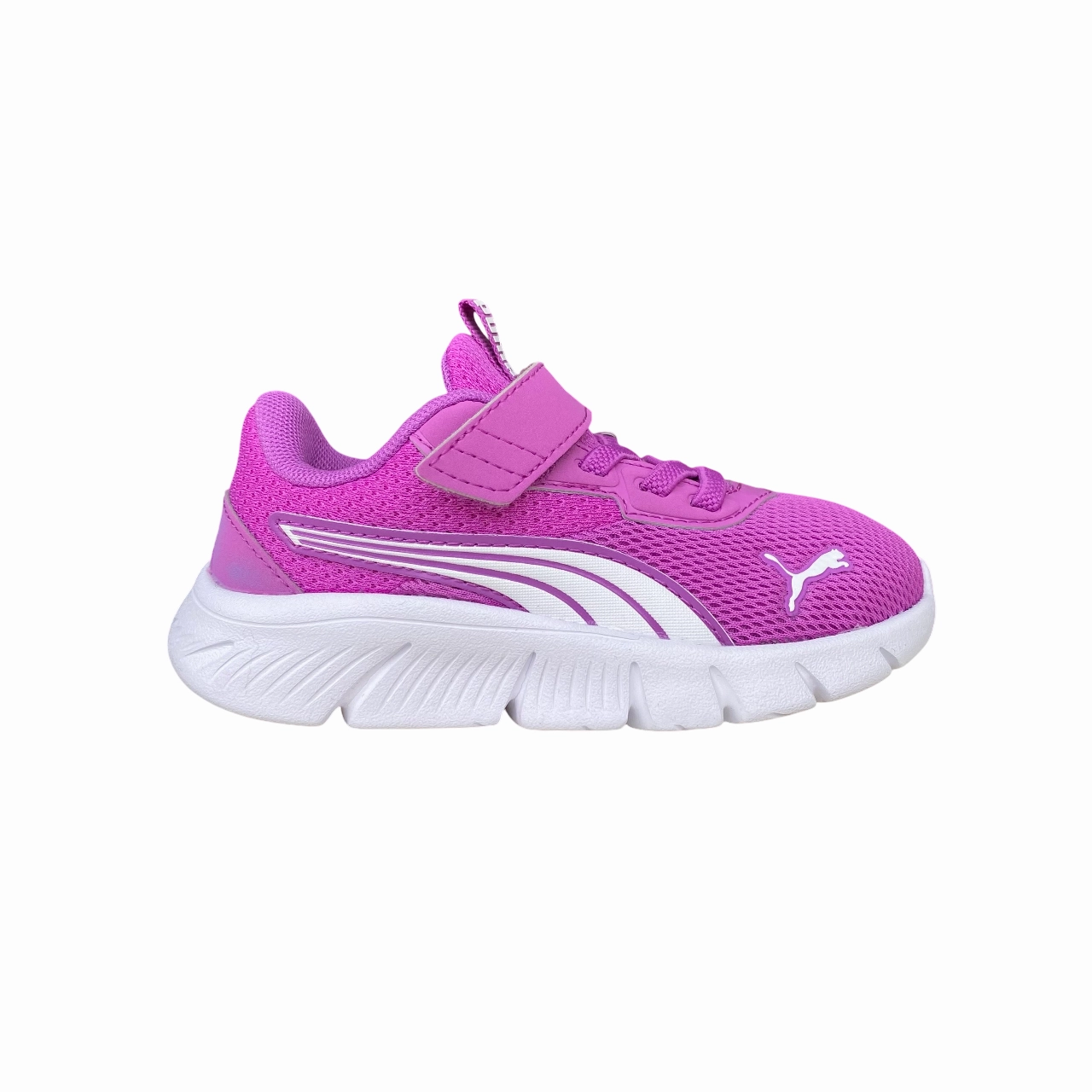 Puma scarpa da ginnastica da bambino FlexFocus Modern AC+ Inf 311523-03 bacca selvatica-bianco Hygroscopic Insole Material