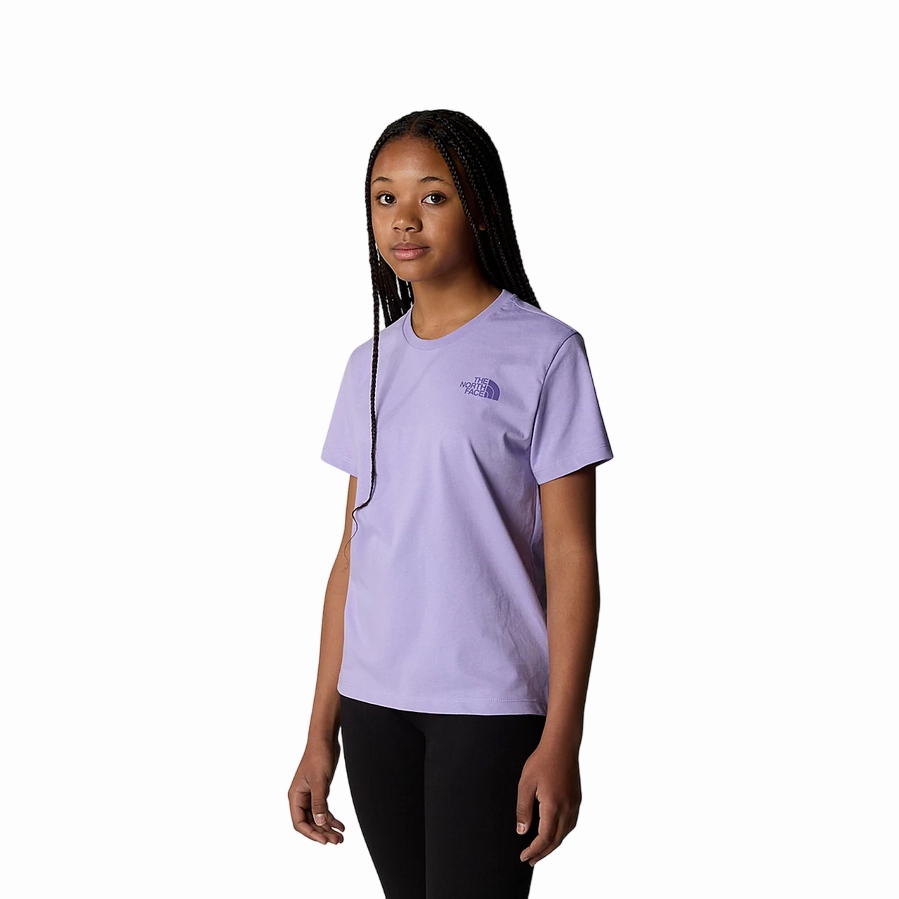 The North Face maglietta manica corta da ragazza Relaxed Graphic NF0A87BCPJO1 viola Minimalist Look